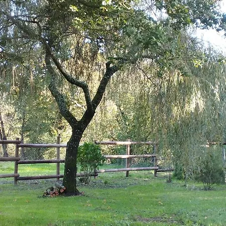 Gite De La Haie Des Bois - 8P Plessé Buitenkant foto