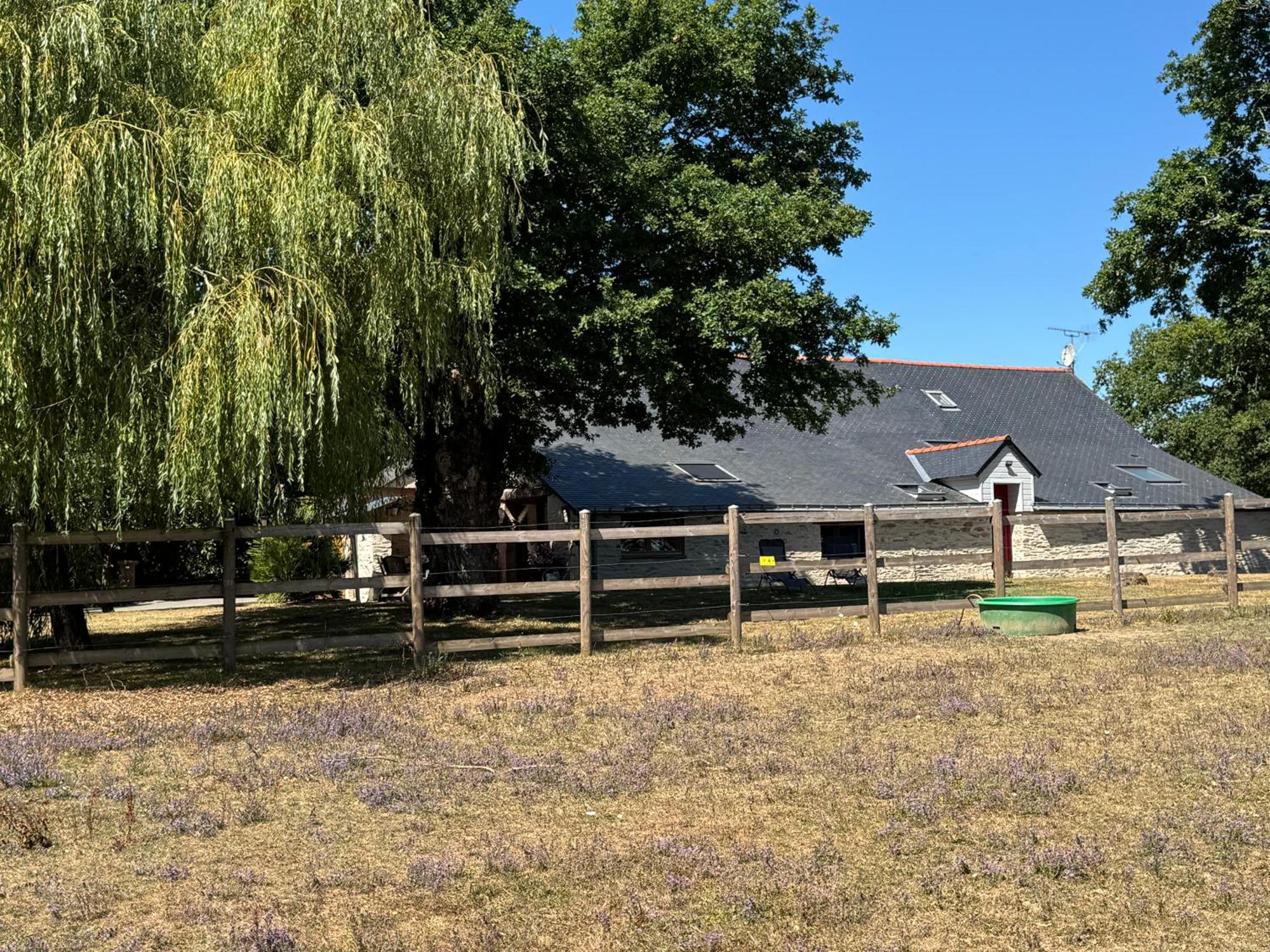 De La Haie Des Bois - 8p Ferienhaus Plessé